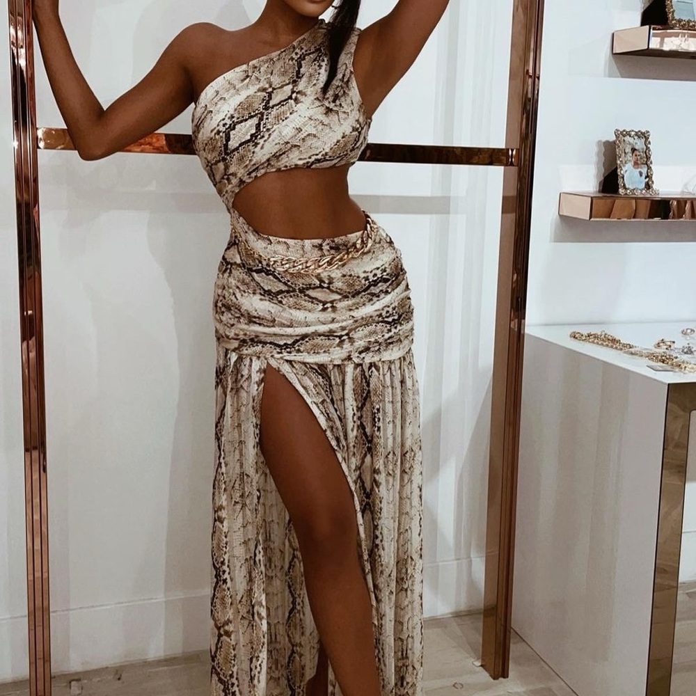 Snakeskin Reptile Habitat Dress